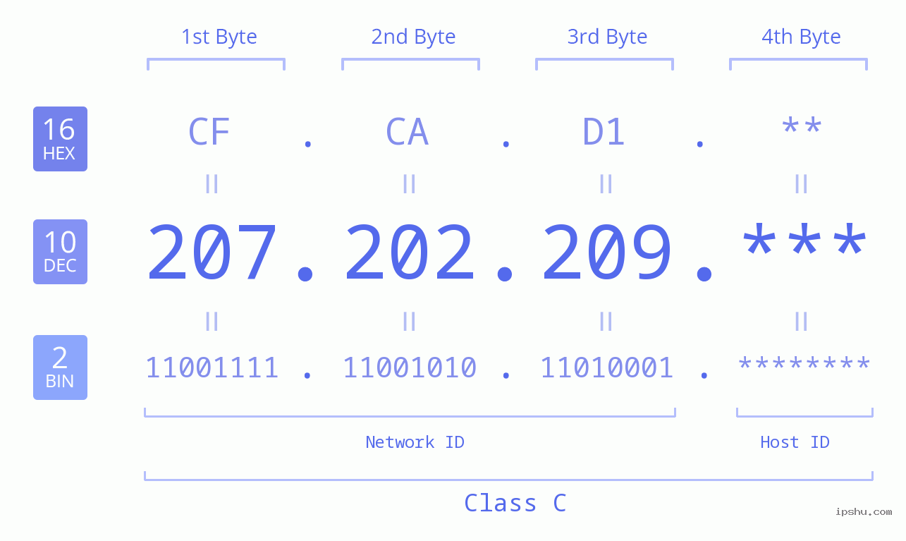 IP Address: 207.202.209 Data Structure Chart BIN DEC HEX IPv4: 207.202.209 Network Class, Net ID, Host ID