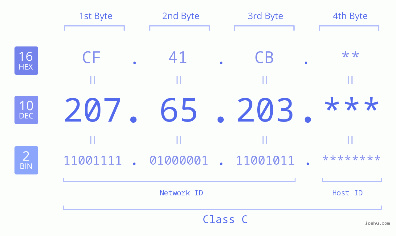 IP Address: 207.65.203 Data Structure Chart BIN DEC HEX IPv4: 207.65.203 Network Class, Net ID, Host ID