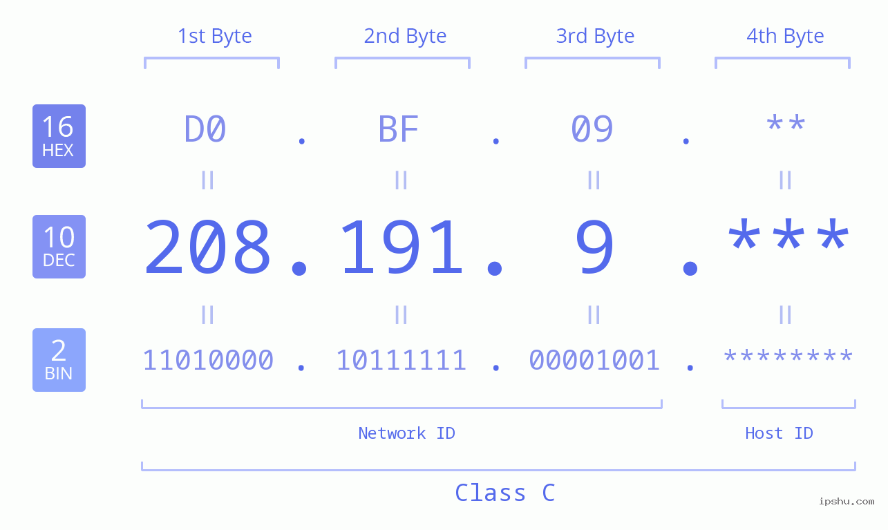 IP Address: 208.191.9 Data Structure Chart BIN DEC HEX IPv4: 208.191.9 Network Class, Net ID, Host ID