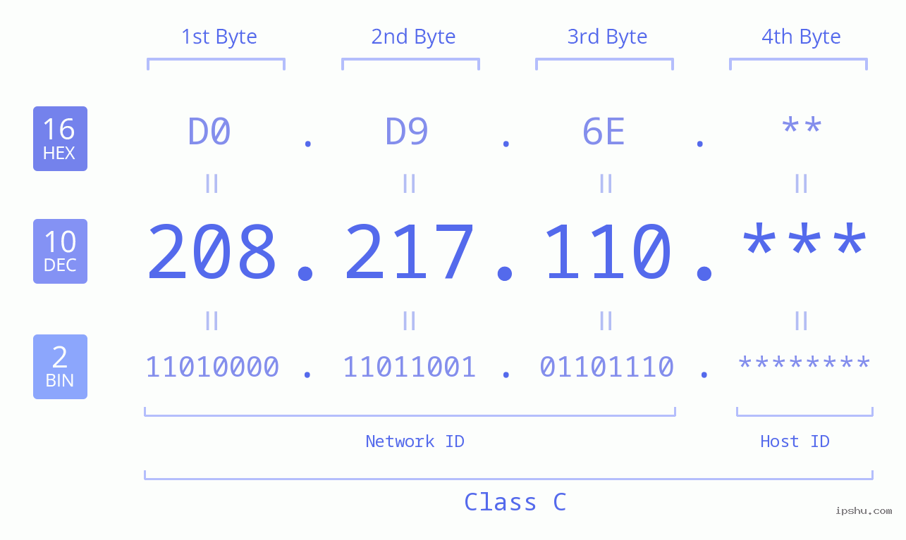 IP Address: 208.217.110 Data Structure Chart BIN DEC HEX IPv4: 208.217.110 Network Class, Net ID, Host ID