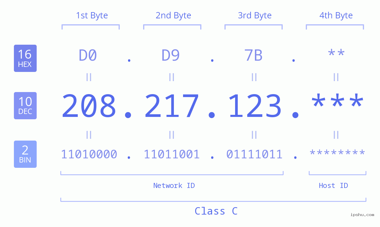 IP Address: 208.217.123 Data Structure Chart BIN DEC HEX IPv4: 208.217.123 Network Class, Net ID, Host ID
