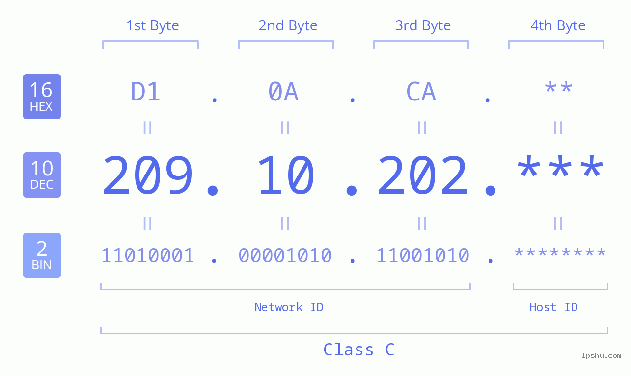 IP Address: 209.10.202 Data Structure Chart BIN DEC HEX IPv4: 209.10.202 Network Class, Net ID, Host ID