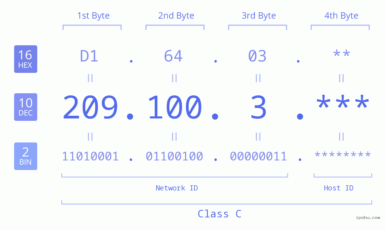 IP Address: 209.100.3 Data Structure Chart BIN DEC HEX IPv4: 209.100.3 Network Class, Net ID, Host ID