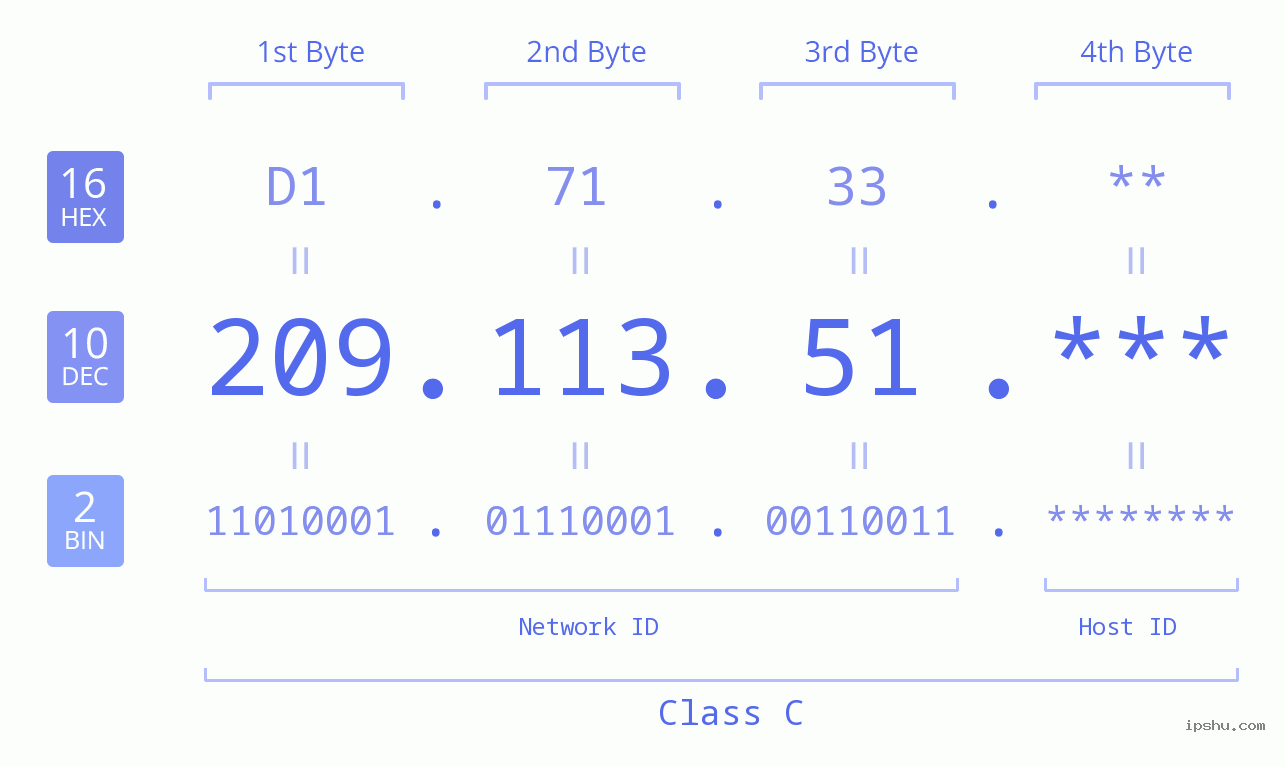 IP Address: 209.113.51 Data Structure Chart BIN DEC HEX IPv4: 209.113.51 Network Class, Net ID, Host ID