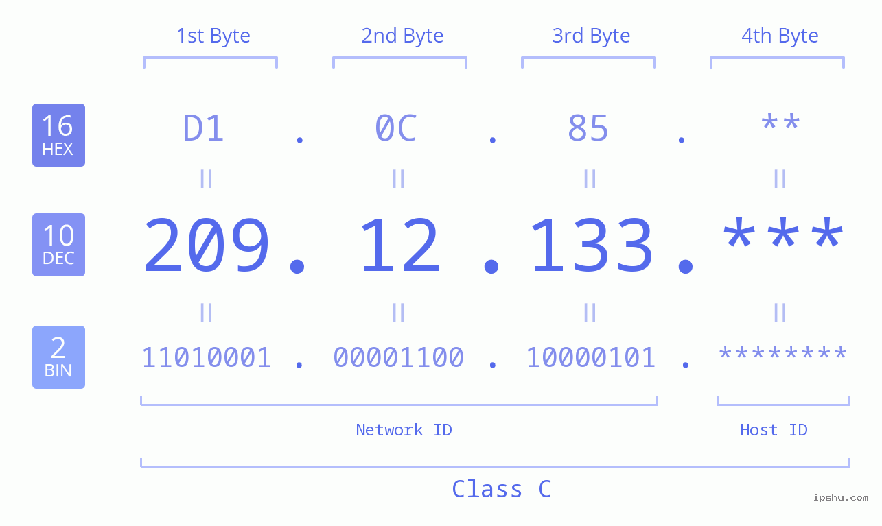 IP Address: 209.12.133 Data Structure Chart BIN DEC HEX IPv4: 209.12.133 Network Class, Net ID, Host ID