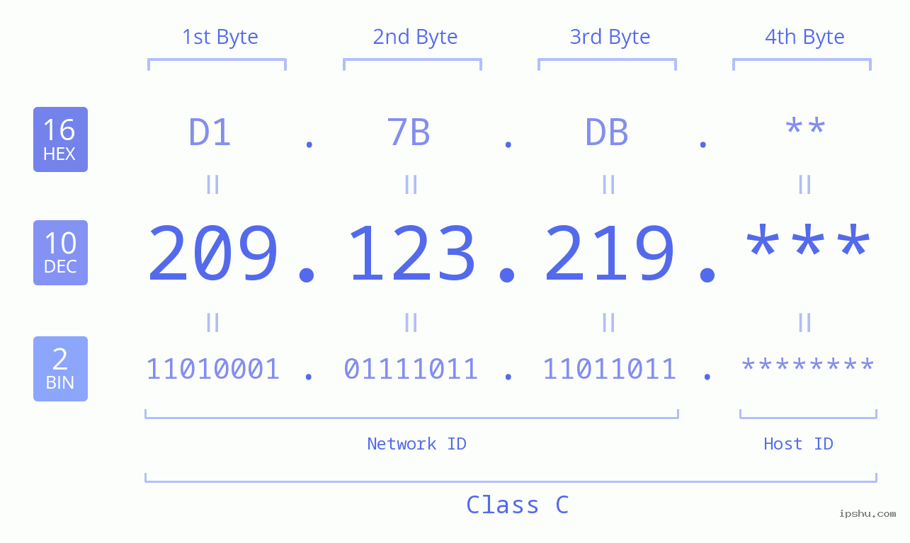 IP Address: 209.123.219 Data Structure Chart BIN DEC HEX IPv4: 209.123.219 Network Class, Net ID, Host ID