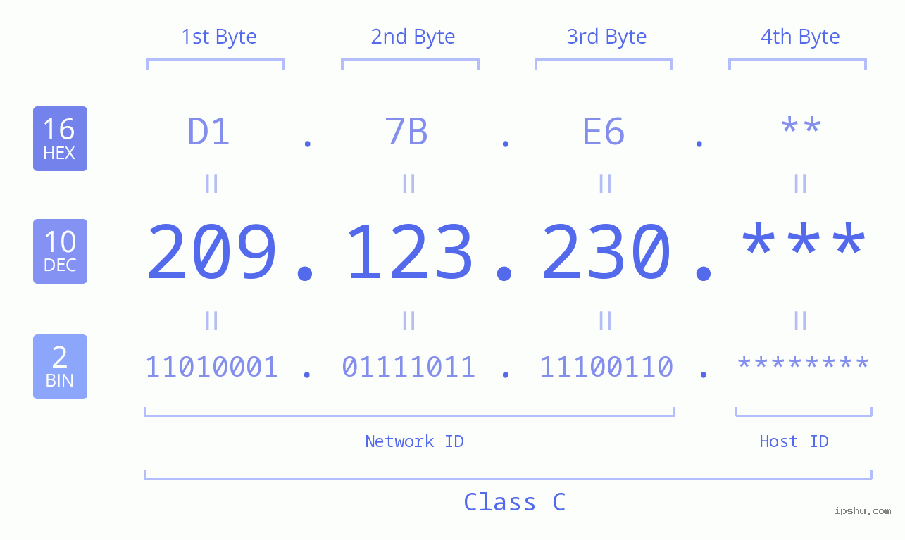 IP Address: 209.123.230 Data Structure Chart BIN DEC HEX IPv4: 209.123.230 Network Class, Net ID, Host ID