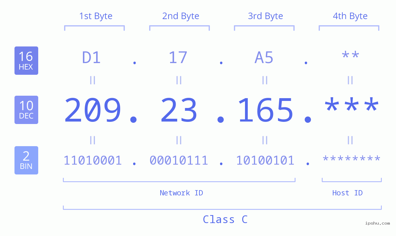IP Address: 209.23.165 Data Structure Chart BIN DEC HEX IPv4: 209.23.165 Network Class, Net ID, Host ID