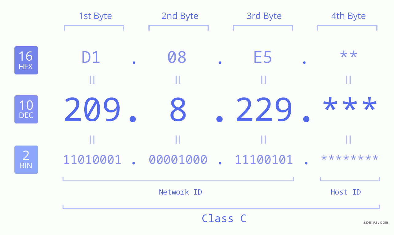IP Address: 209.8.229 Data Structure Chart BIN DEC HEX IPv4: 209.8.229 Network Class, Net ID, Host ID