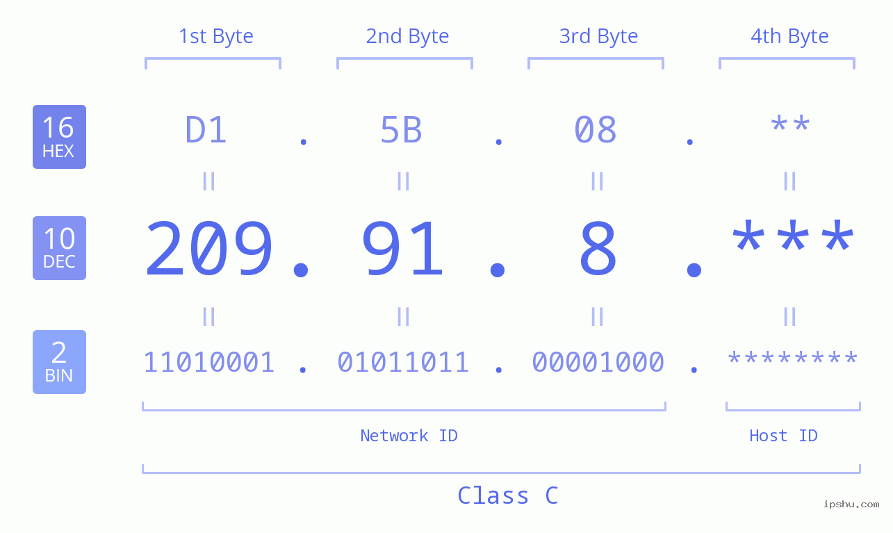 IP Address: 209.91.8 Data Structure Chart BIN DEC HEX IPv4: 209.91.8 Network Class, Net ID, Host ID