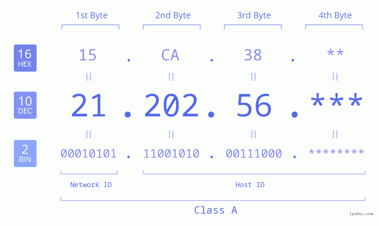 IP Address: 21.202.56 Data Structure Chart BIN DEC HEX IPv4: 21.202.56 Network Class, Net ID, Host ID