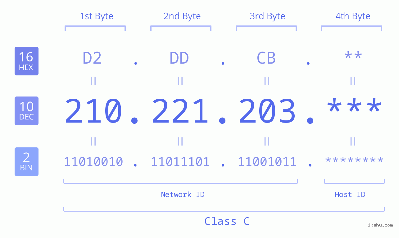 IP Address: 210.221.203 Data Structure Chart BIN DEC HEX IPv4: 210.221.203 Network Class, Net ID, Host ID