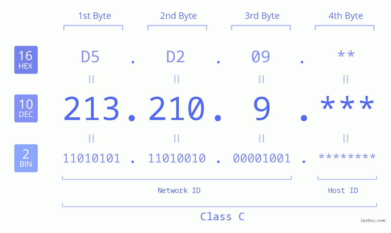 IP Address: 213.210.9 Data Structure Chart BIN DEC HEX IPv4: 213.210.9 Network Class, Net ID, Host ID