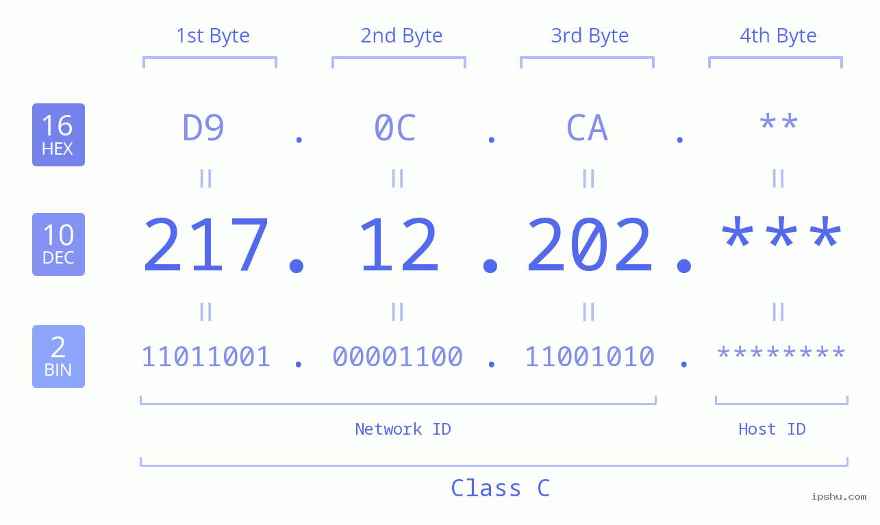 IP Address: 217.12.202 Data Structure Chart BIN DEC HEX IPv4: 217.12.202 Network Class, Net ID, Host ID