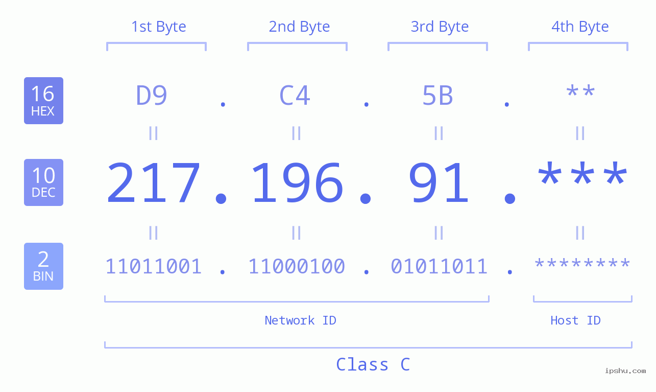 IP Address: 217.196.91 Data Structure Chart BIN DEC HEX IPv4: 217.196.91 Network Class, Net ID, Host ID