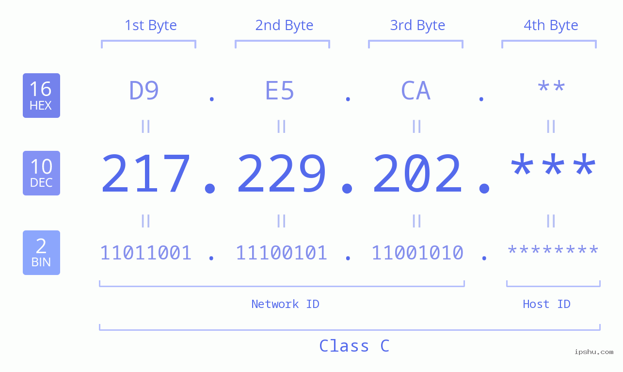 IP Address: 217.229.202 Data Structure Chart BIN DEC HEX IPv4: 217.229.202 Network Class, Net ID, Host ID