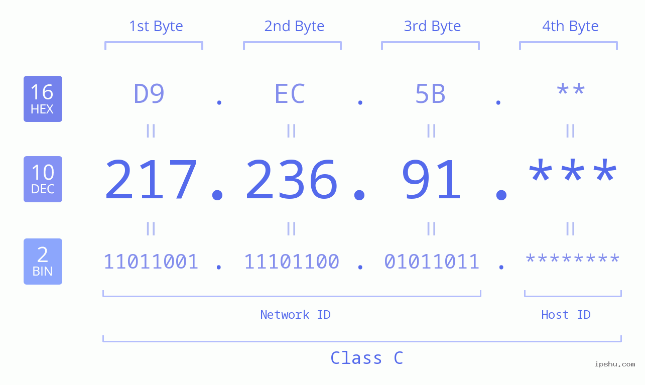 IP Address: 217.236.91 Data Structure Chart BIN DEC HEX IPv4: 217.236.91 Network Class, Net ID, Host ID