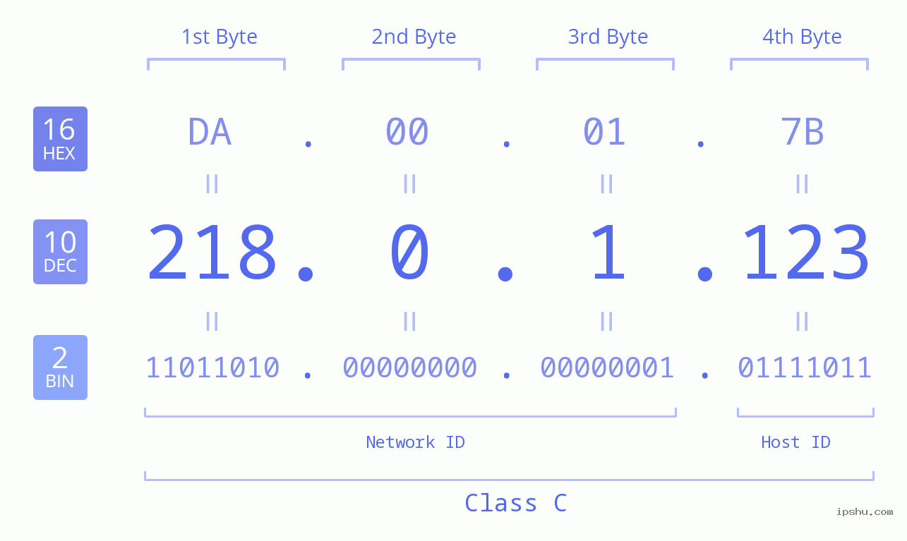 IP Address: 218.0.1.123 Data Structure Chart BIN DEC HEX IPv4: 218.0.1.123 Network Class, Net ID, Host ID