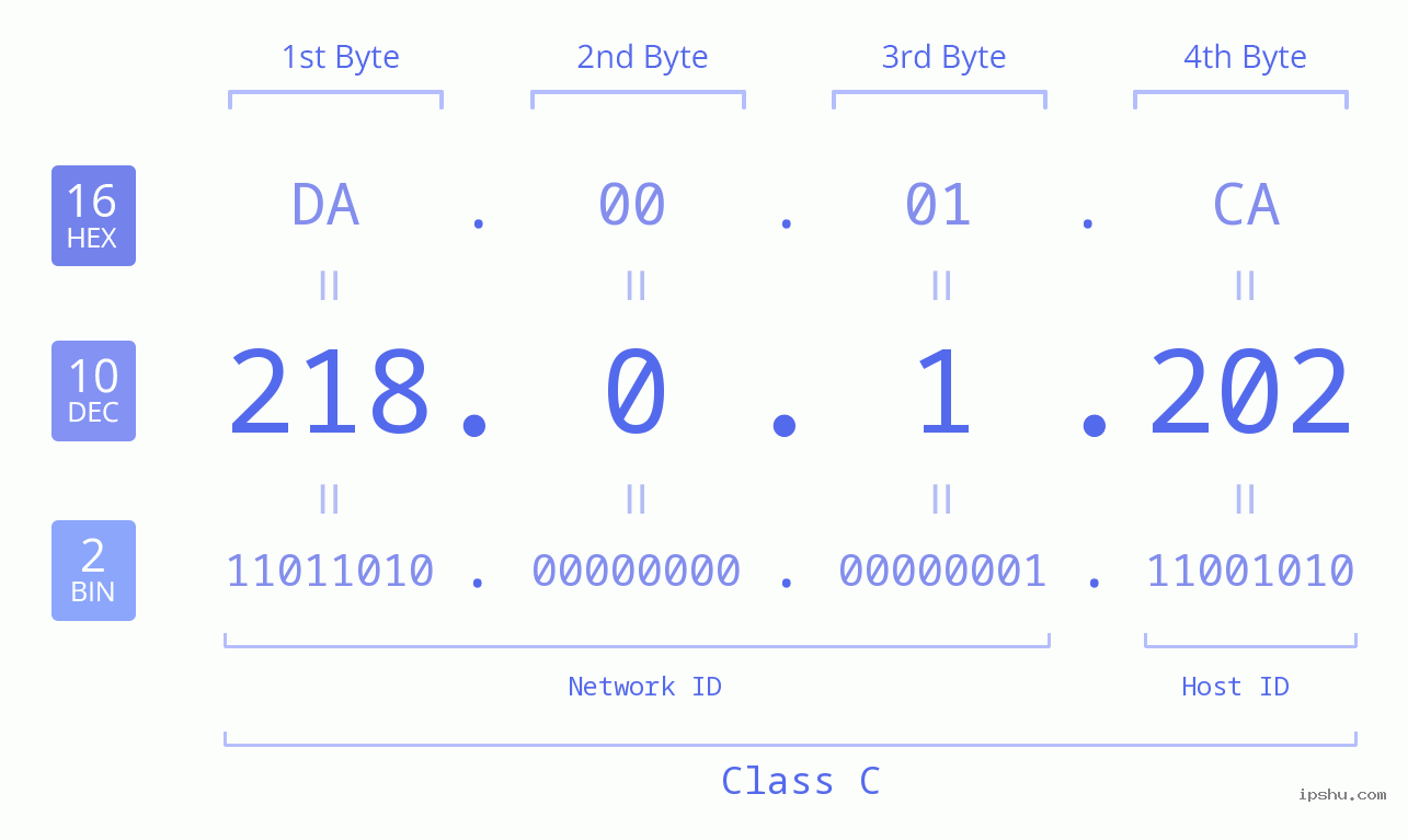 IP Address: 218.0.1.202 Data Structure Chart BIN DEC HEX IPv4: 218.0.1.202 Network Class, Net ID, Host ID