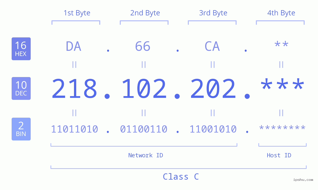 IP Address: 218.102.202 Data Structure Chart BIN DEC HEX IPv4: 218.102.202 Network Class, Net ID, Host ID