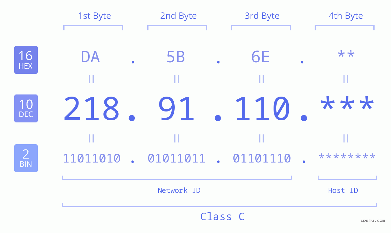 IP Address: 218.91.110 Data Structure Chart BIN DEC HEX IPv4: 218.91.110 Network Class, Net ID, Host ID