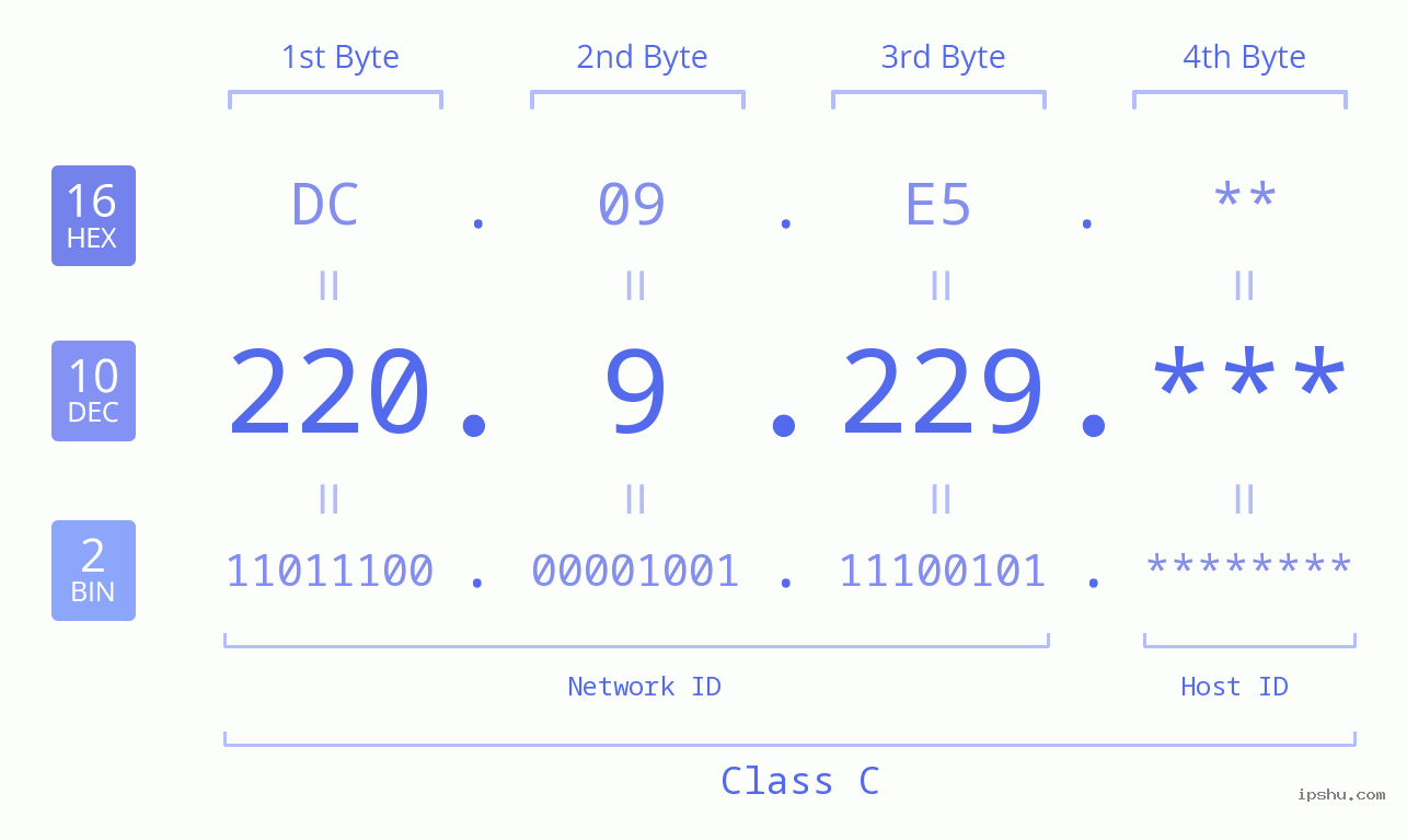 IP Address: 220.9.229 Data Structure Chart BIN DEC HEX IPv4: 220.9.229 Network Class, Net ID, Host ID