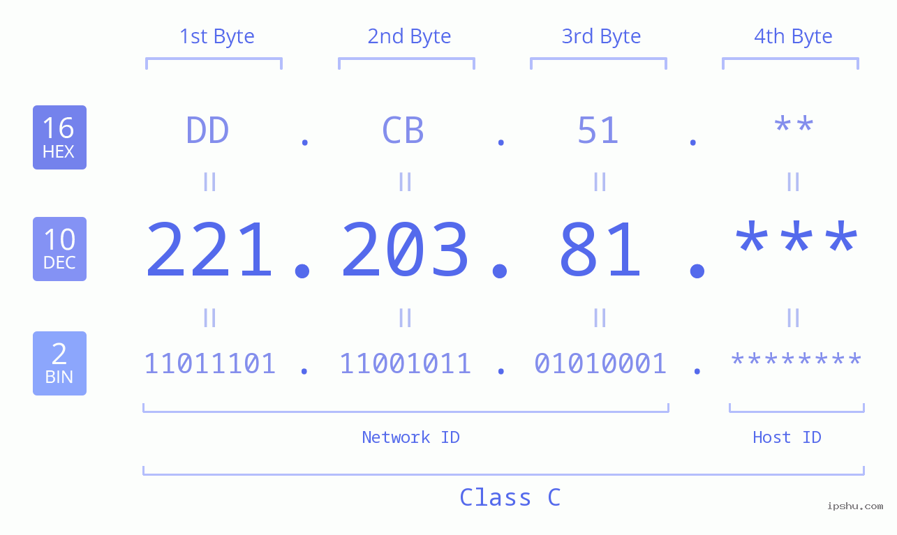 IP Address: 221.203.81 Data Structure Chart BIN DEC HEX IPv4: 221.203.81 Network Class, Net ID, Host ID