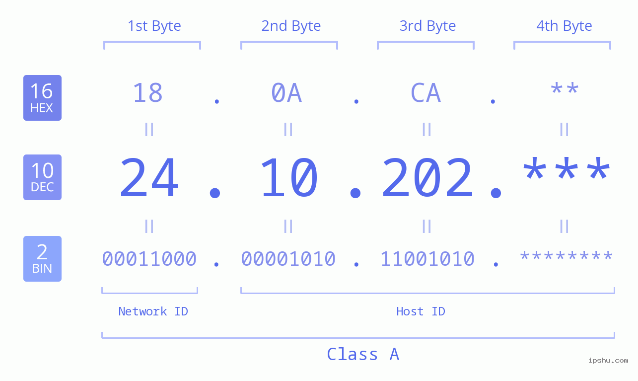 IP Address: 24.10.202 Data Structure Chart BIN DEC HEX IPv4: 24.10.202 Network Class, Net ID, Host ID
