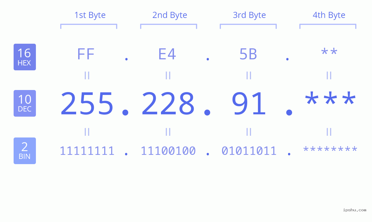 IP Address: 255.228.91 Data Structure Chart BIN DEC HEX IPv4: 255.228.91 Network Class, Net ID, Host ID