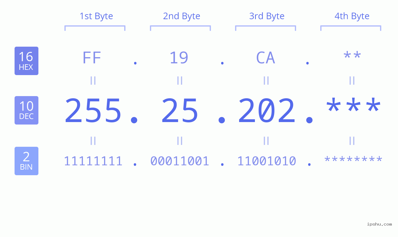 IP Address: 255.25.202 Data Structure Chart BIN DEC HEX IPv4: 255.25.202 Network Class, Net ID, Host ID