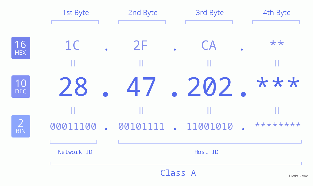 IP Address: 28.47.202 Data Structure Chart BIN DEC HEX IPv4: 28.47.202 Network Class, Net ID, Host ID