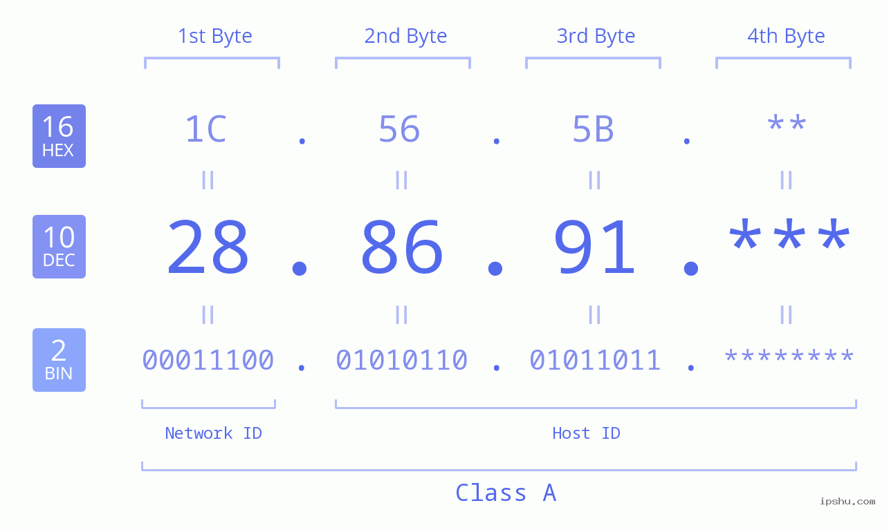 IP Address: 28.86.91 Data Structure Chart BIN DEC HEX IPv4: 28.86.91 Network Class, Net ID, Host ID