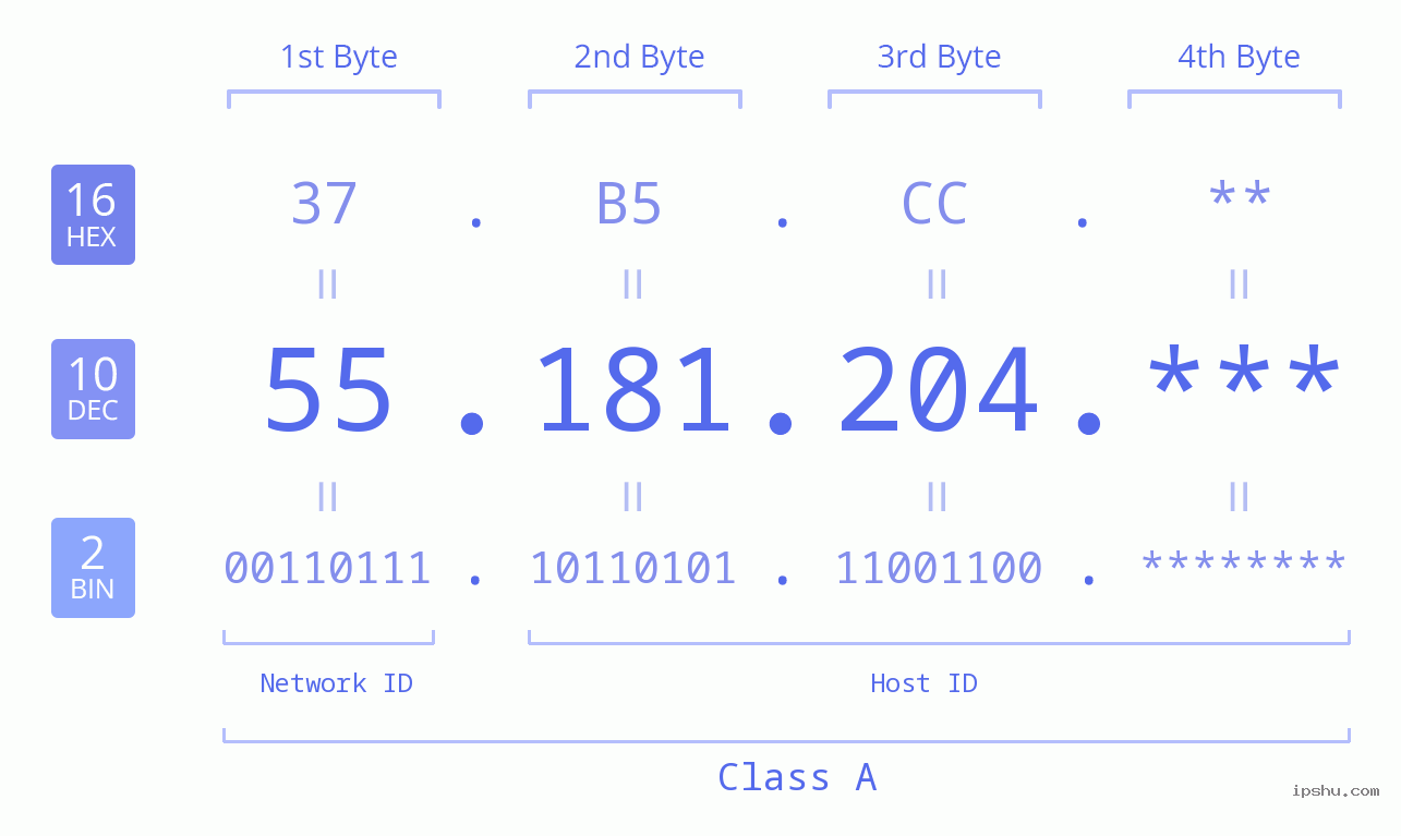 IP Address: 55.181.204 Data Structure Chart BIN DEC HEX IPv4: 55.181.204 Network Class, Net ID, Host ID