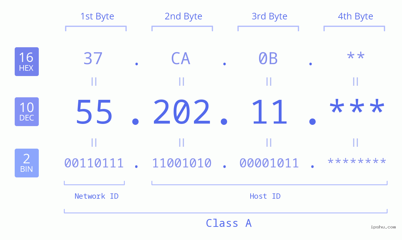 IP Address: 55.202.11 Data Structure Chart BIN DEC HEX IPv4: 55.202.11 Network Class, Net ID, Host ID