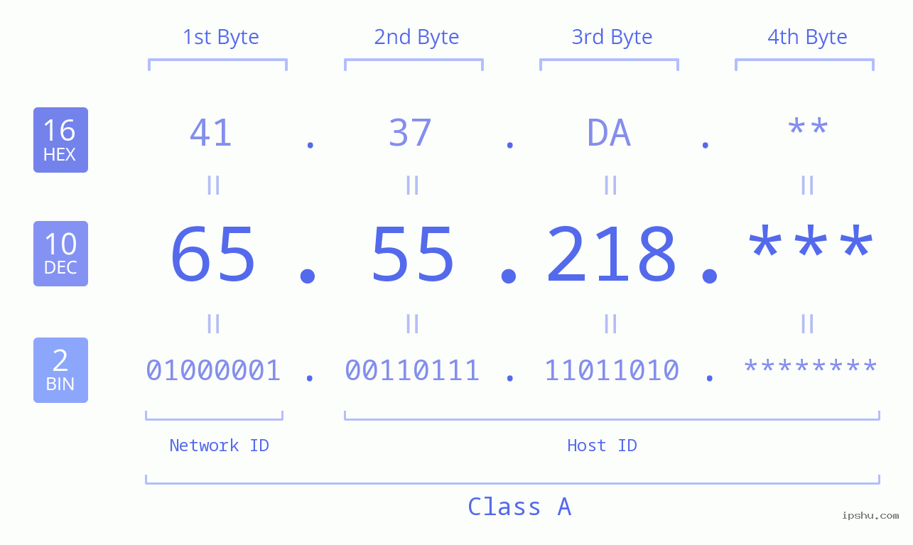 IP Address: 65.55.218 Data Structure Chart BIN DEC HEX IPv4: 65.55.218 Network Class, Net ID, Host ID