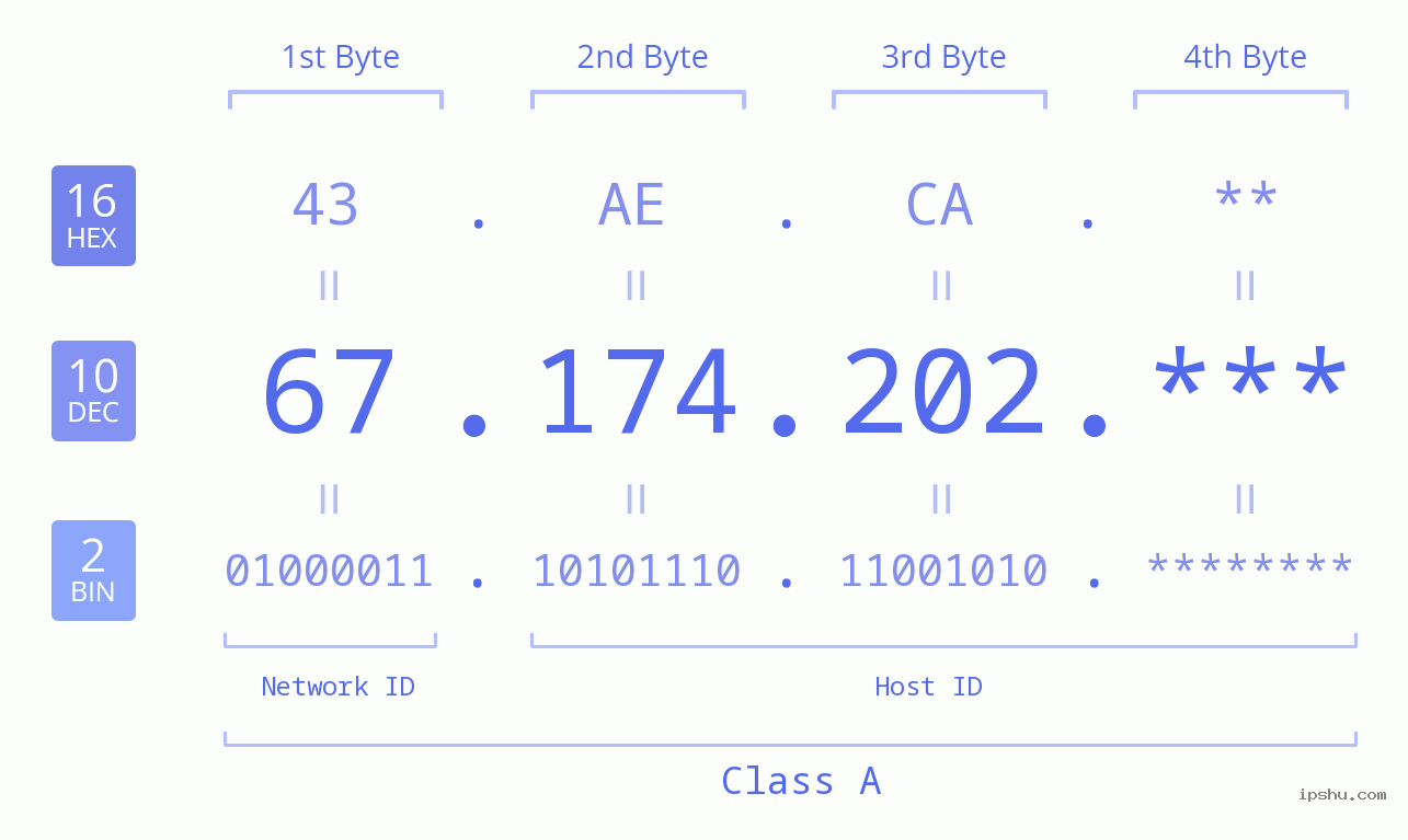 IP Address: 67.174.202 Data Structure Chart BIN DEC HEX IPv4: 67.174.202 Network Class, Net ID, Host ID
