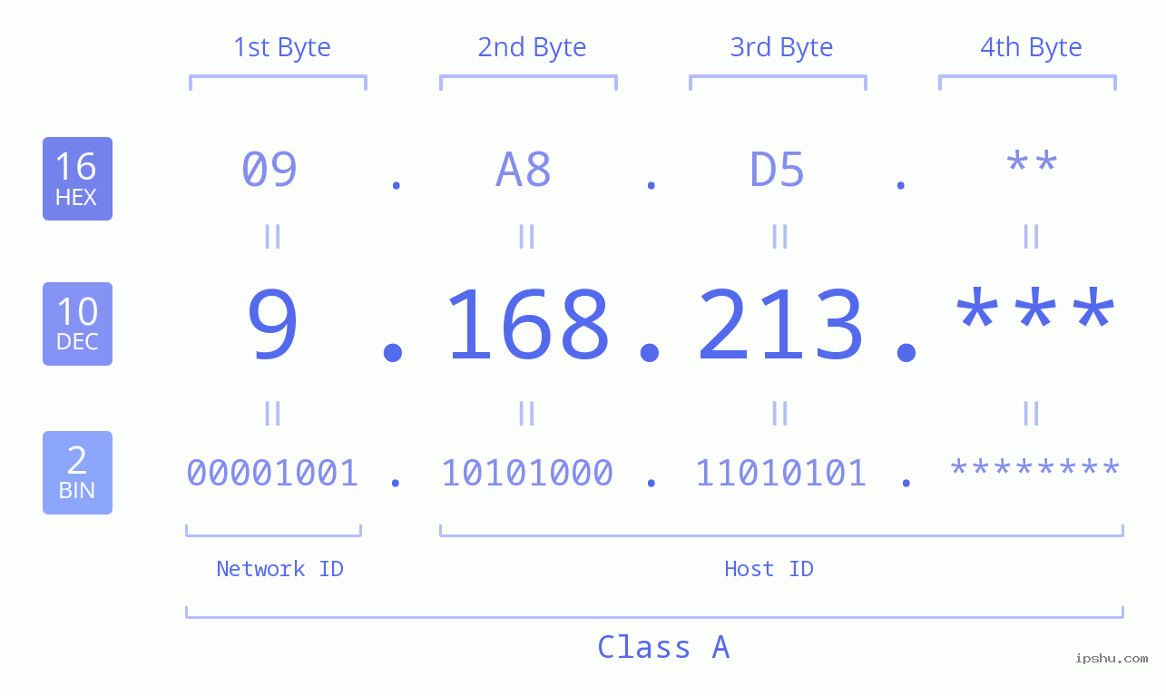 IP Address: 9.168.213 Data Structure Chart BIN DEC HEX IPv4: 9.168.213 Network Class, Net ID, Host ID
