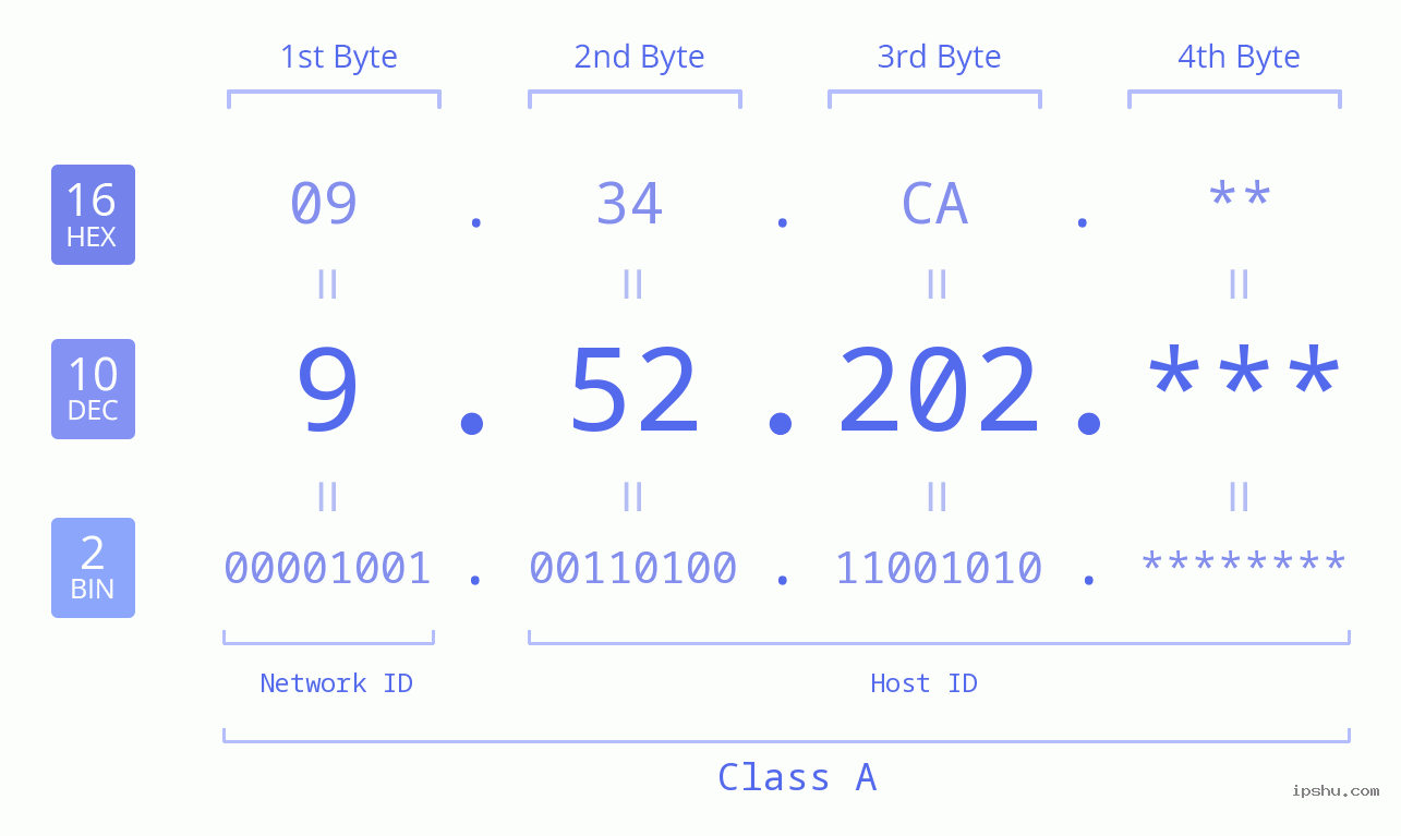 IP Address: 9.52.202 Data Structure Chart BIN DEC HEX IPv4: 9.52.202 Network Class, Net ID, Host ID