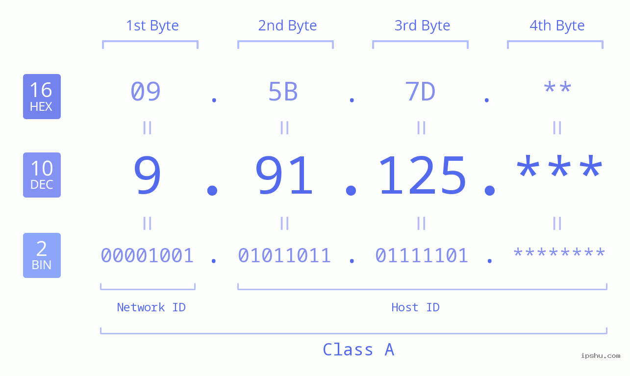 IP Address: 9.91.125 Data Structure Chart BIN DEC HEX IPv4: 9.91.125 Network Class, Net ID, Host ID